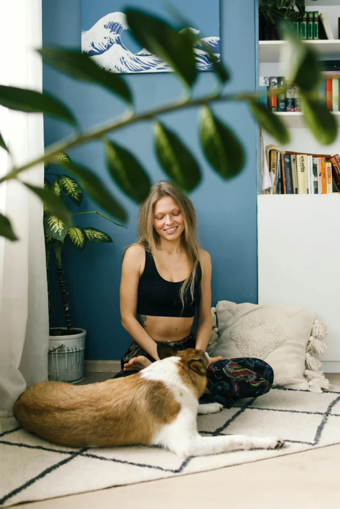 about best caarpet dealers in kochi